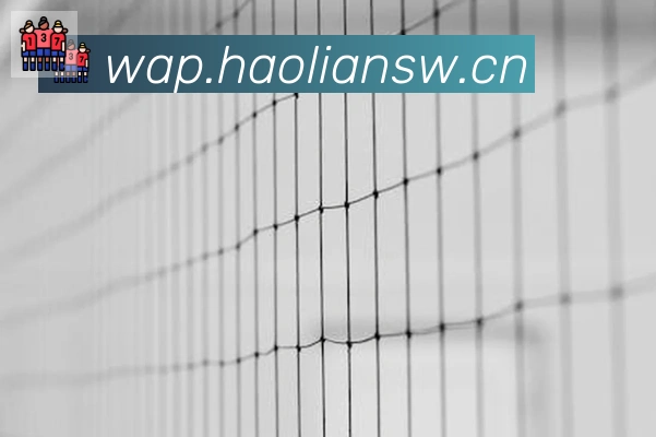 爱游戏ayx官网APP 封面图